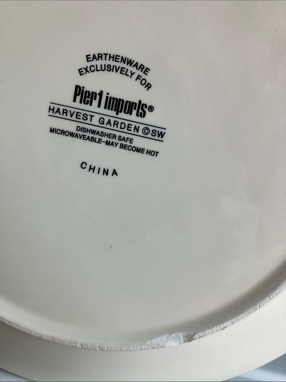 Pier 1 Harvest Garden 2 Dinner Plates 11